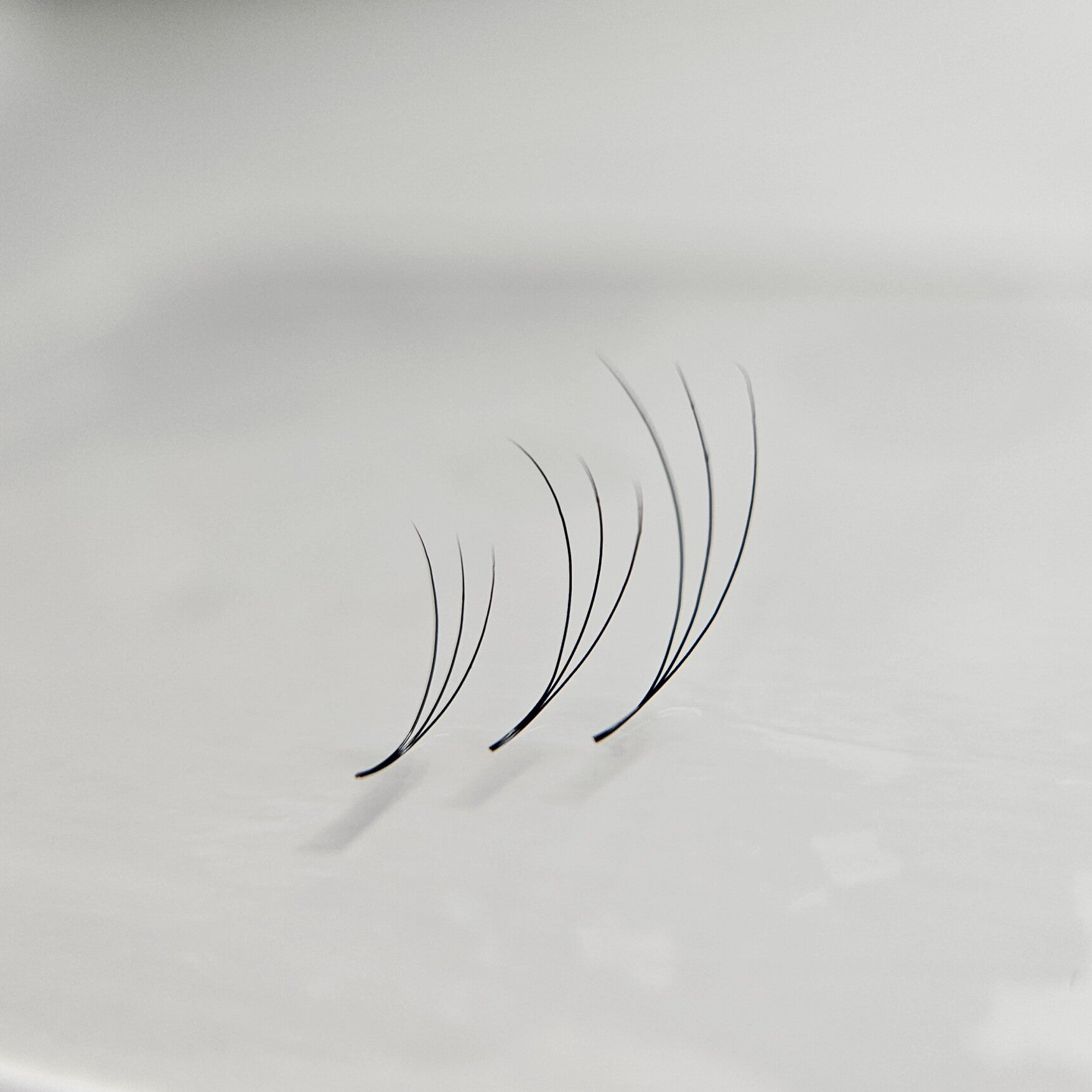 3D Fertigfächer - Loose Wimpernfächer | 1000 fertige Wimpernfächer