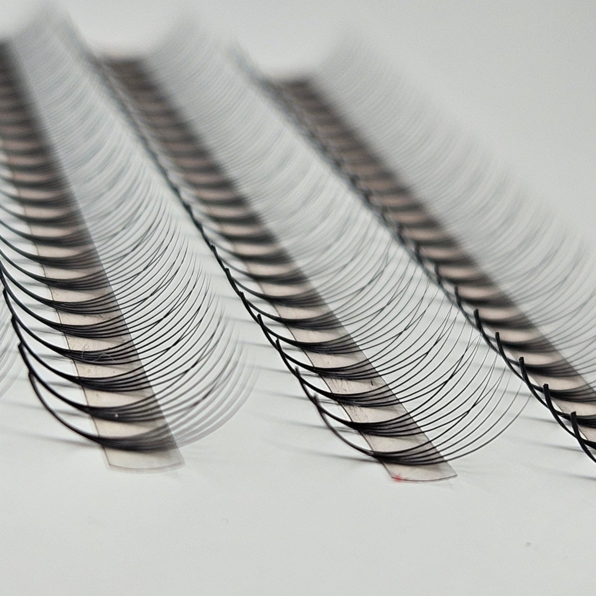 5D Fertigfächer auf Klebestreifen | 1000 fertige Wimpernfächer