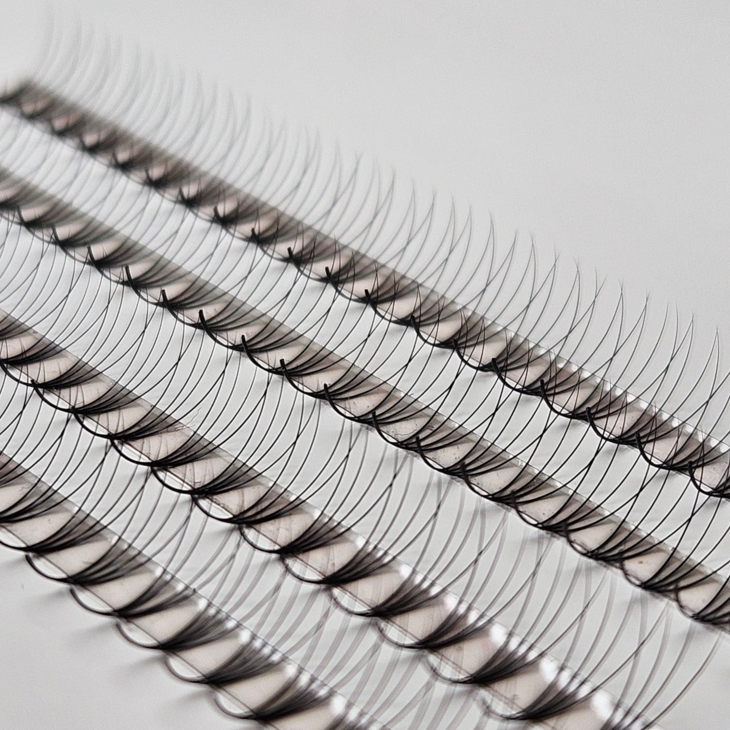 4D Fertigfächer auf Klebestreifen | 1000 fertige Wimpernfächer