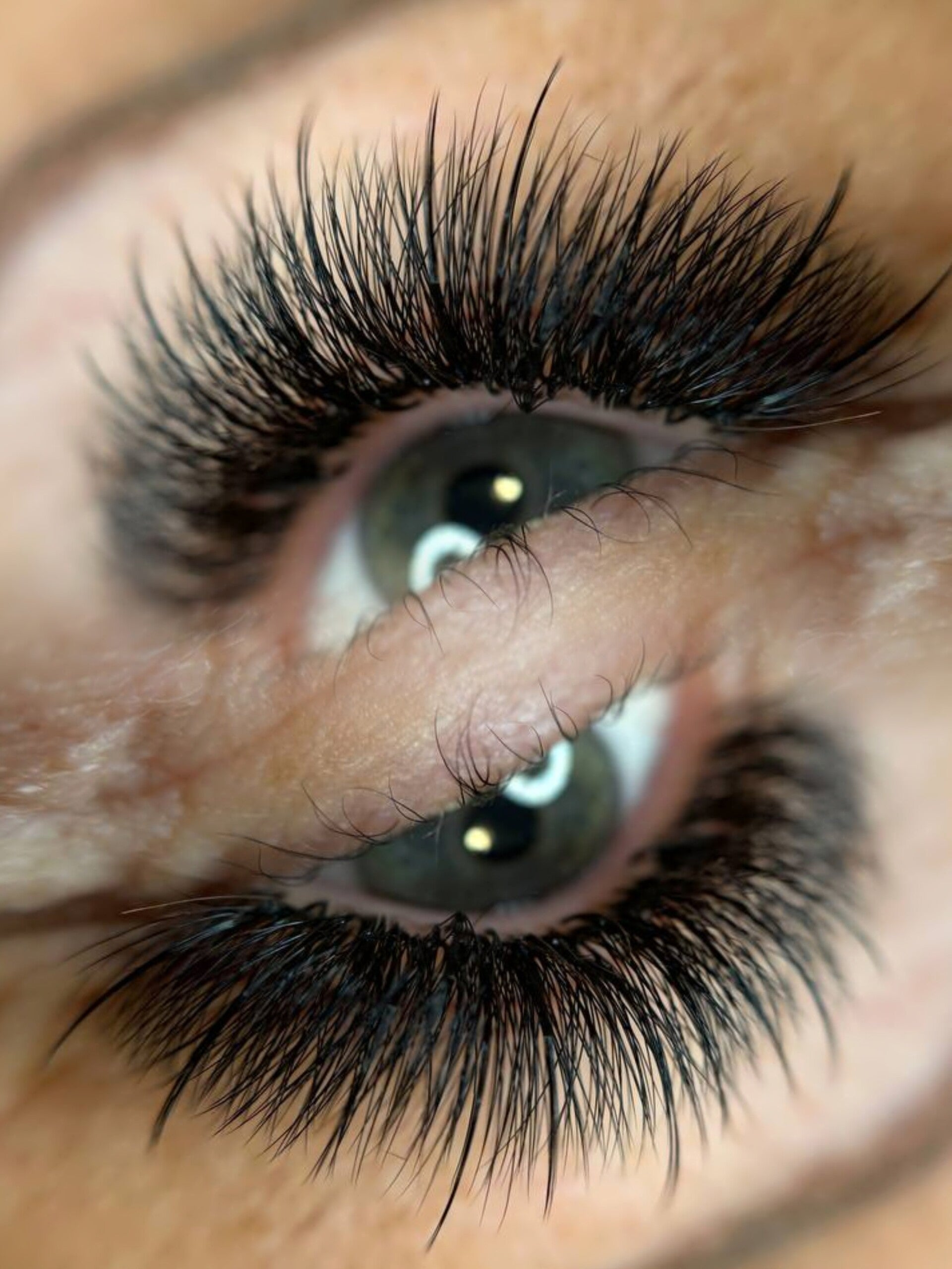 Wispy Lashes 5D | 1000 Loose Wimpernfächer