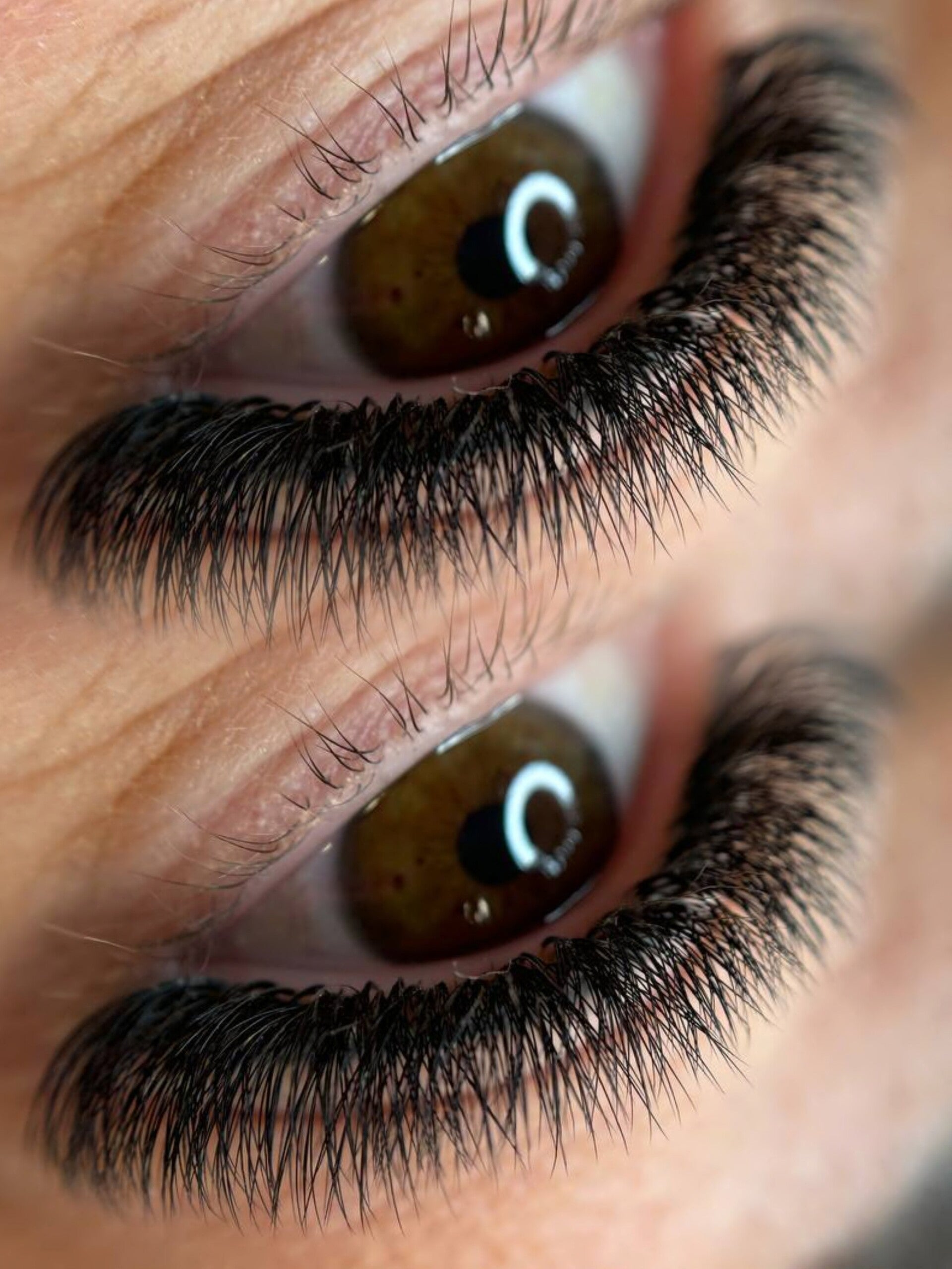 4D Fertigfächer auf Klebestreifen | 1000 fertige Wimpernfächer