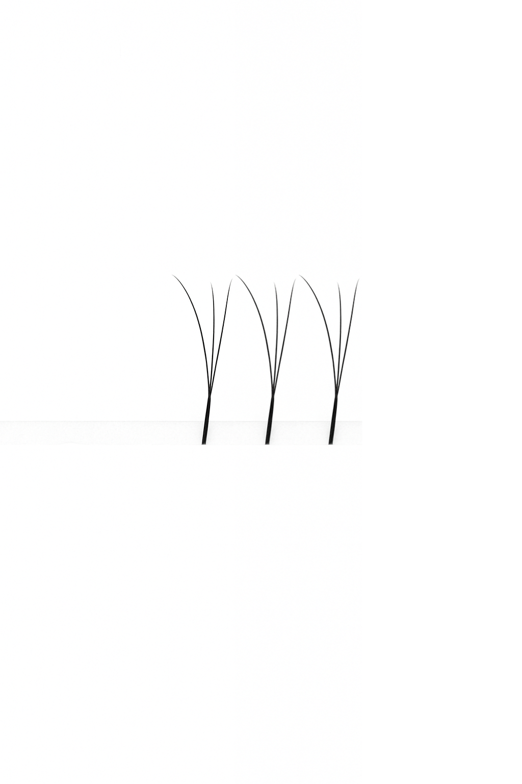 3D Express Lashes | W Lashes
