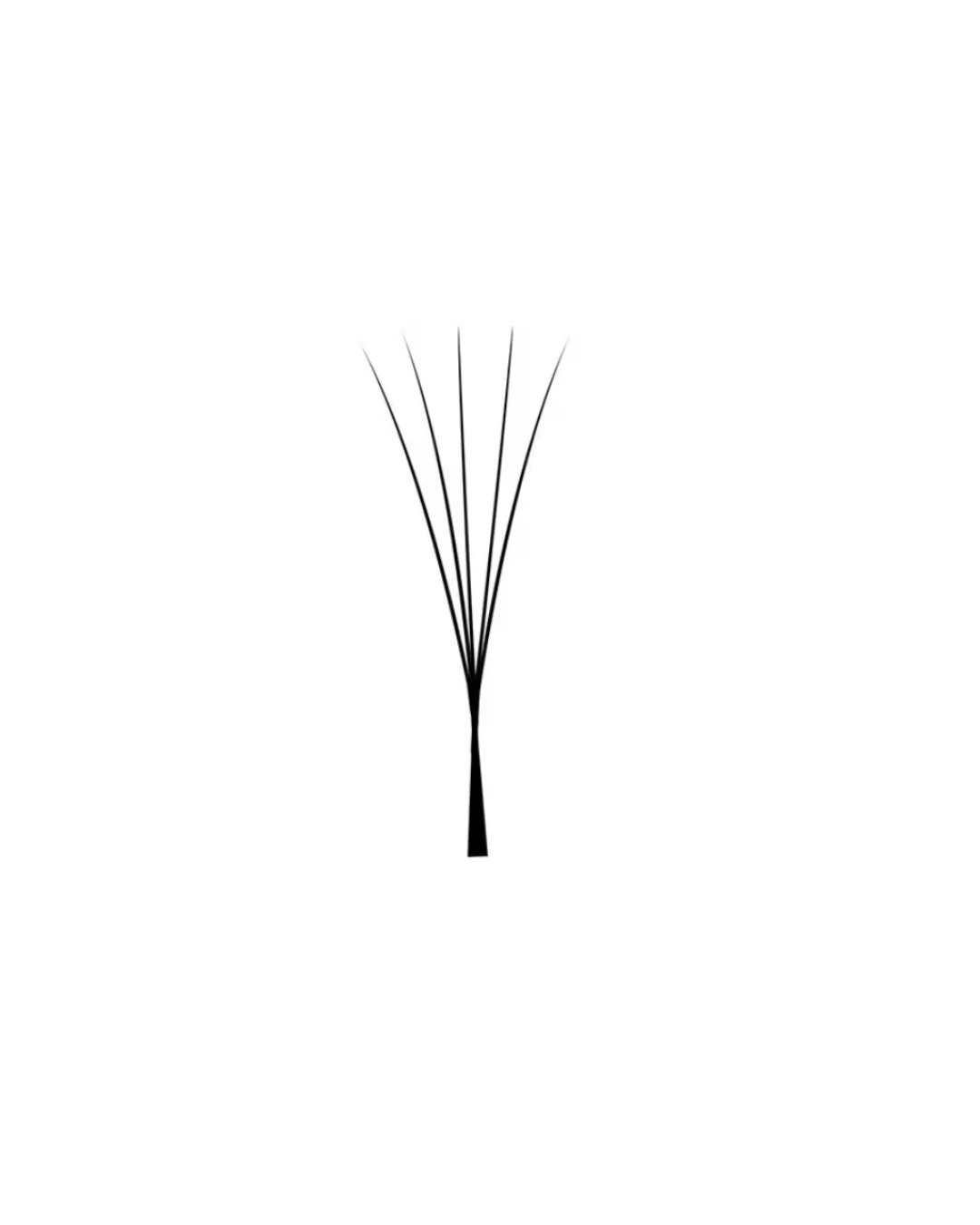 5D Express Lashes | ca. 4000 Fertigfächer | 0.07