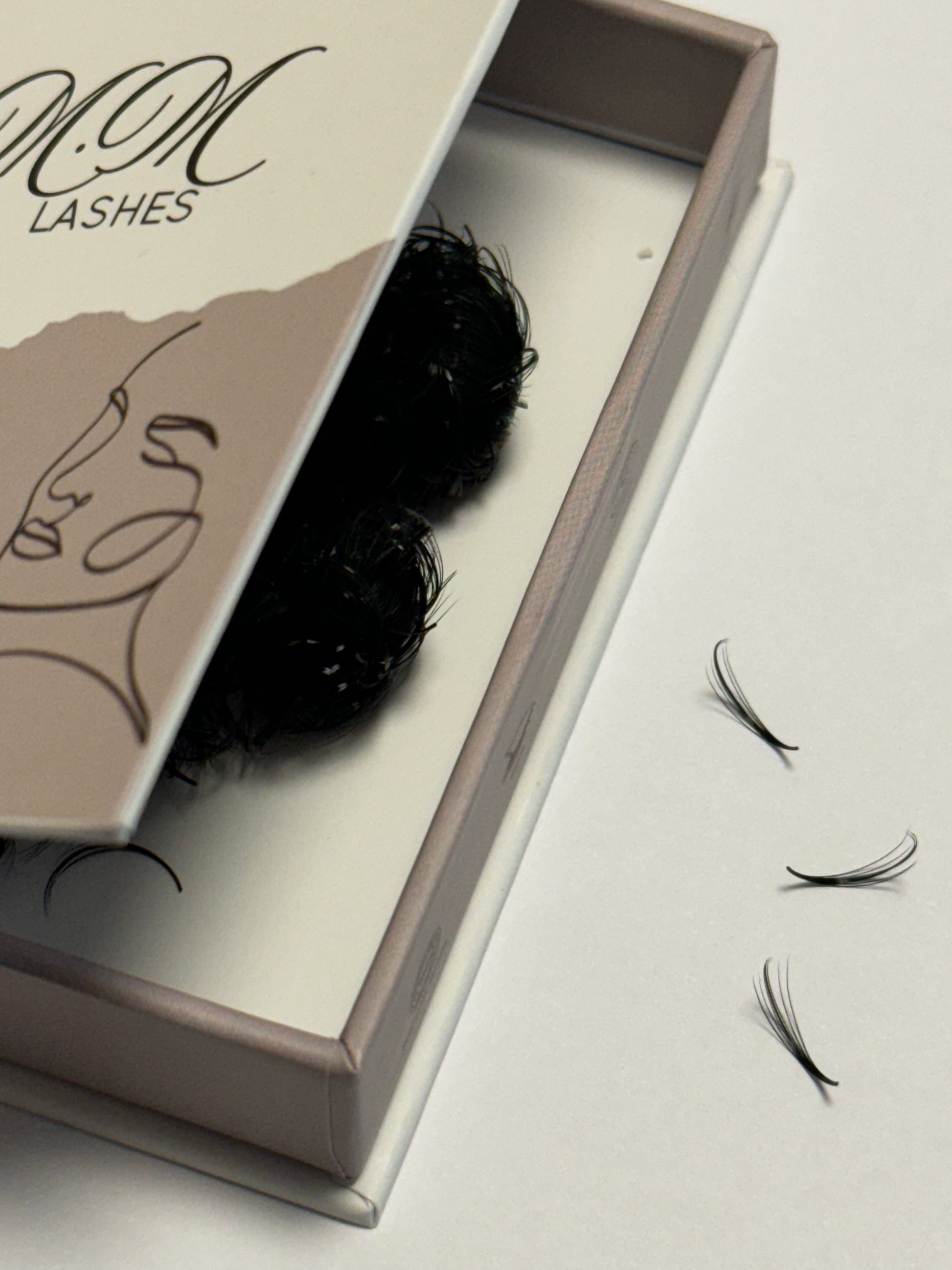 Wispy Lashes 5D | 1000 Loose Wimpernfächer